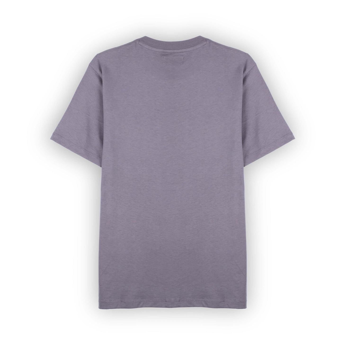 T-Shirt Homem Replay Cinza