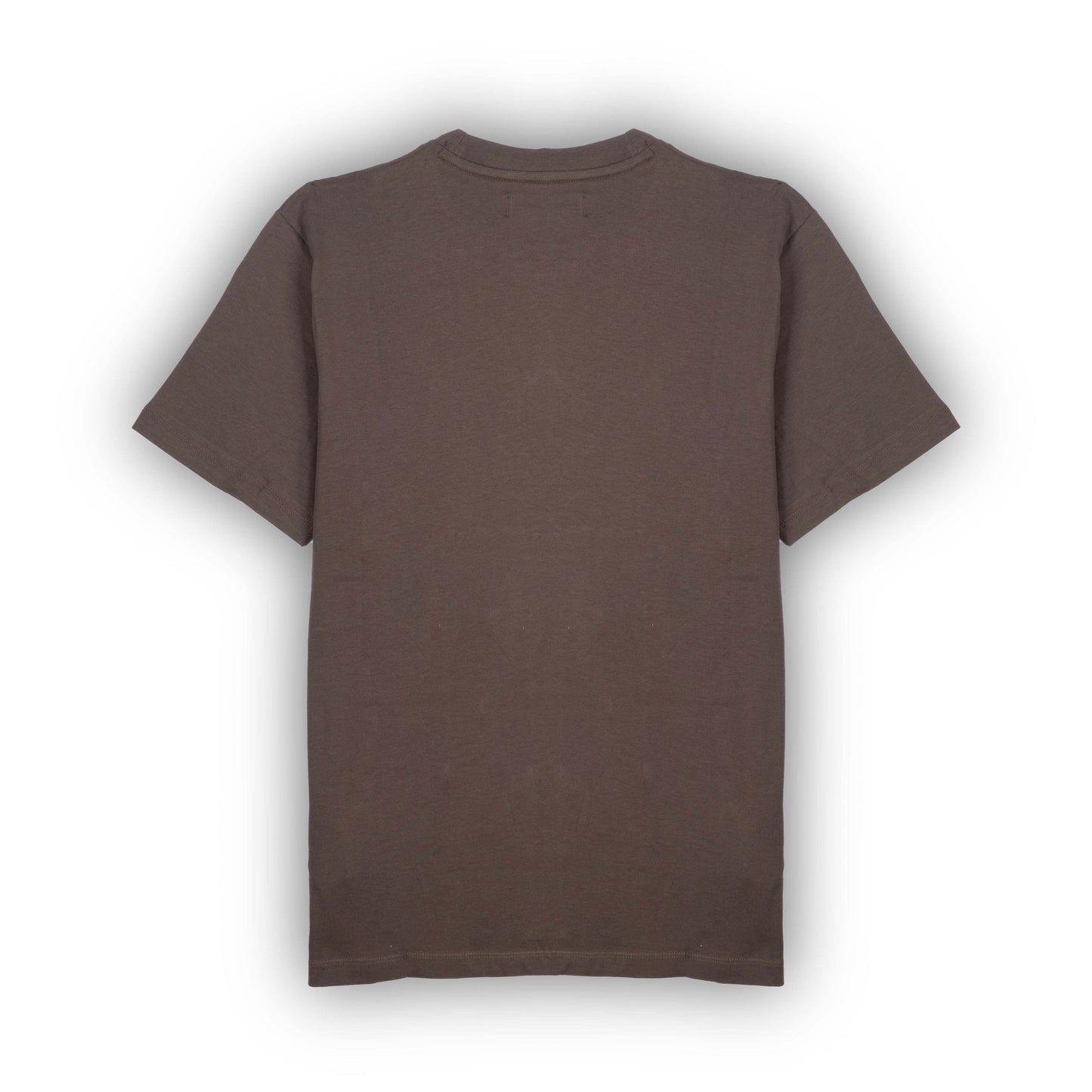 T-Shirt Homem Replay Castanha