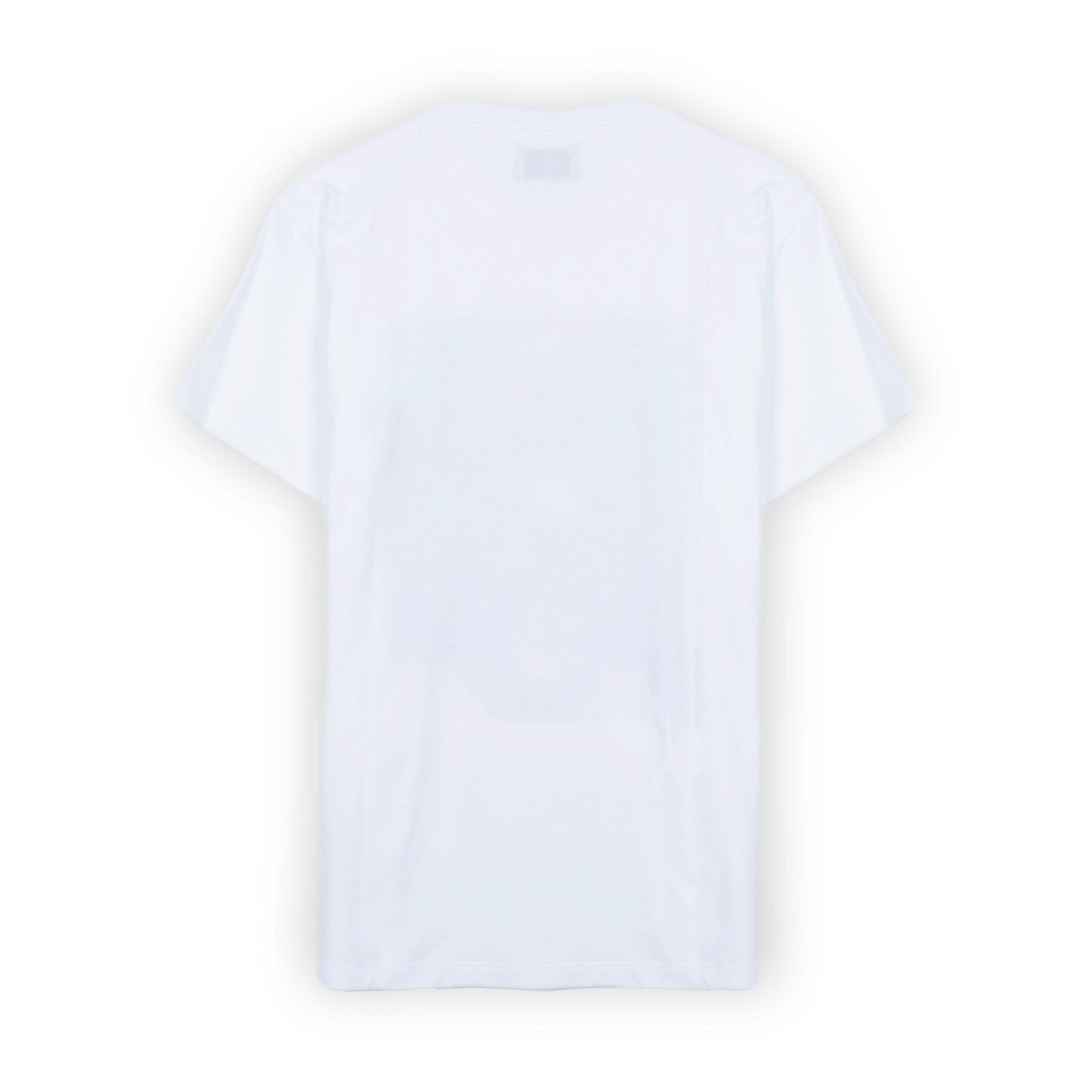 T-Shirt de Homem REPLAY – Estilo Casual com Estampa Gráfica