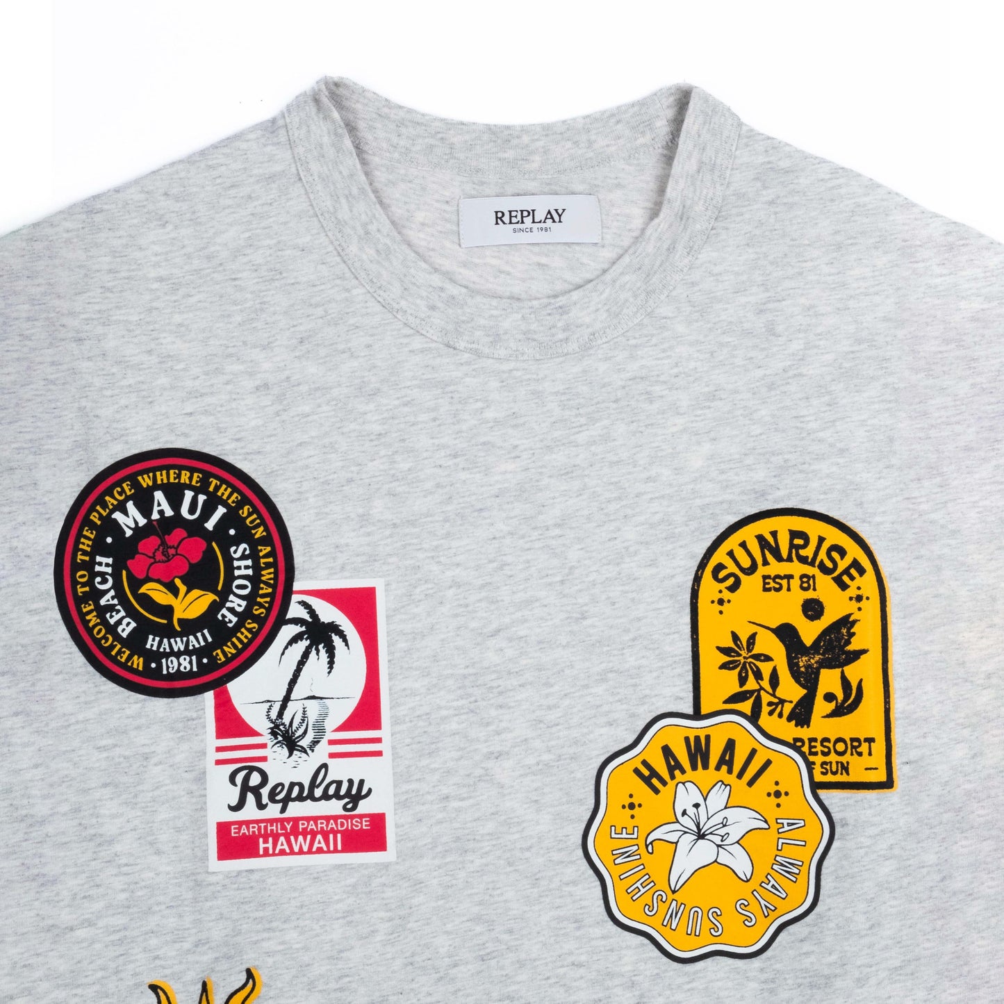 T-Shirt Homem Replay Cinza