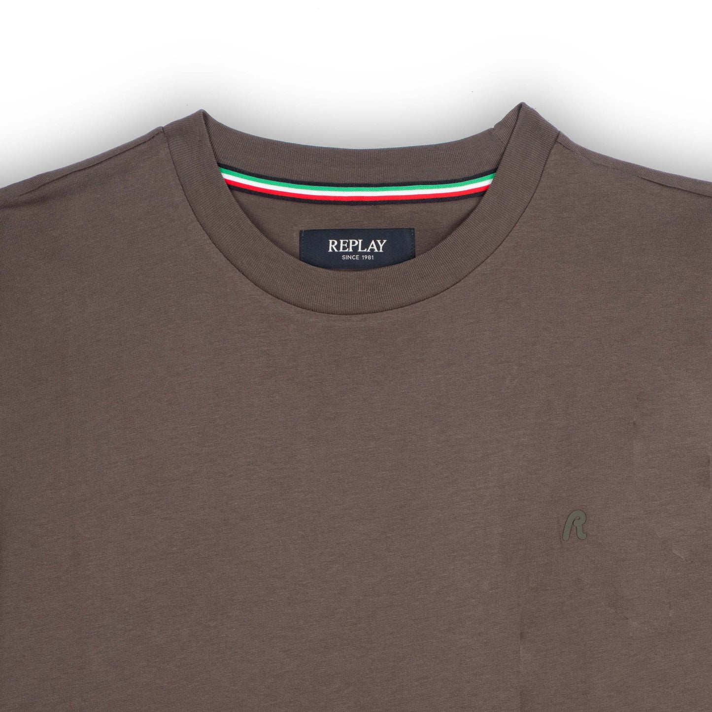 T-Shirt Homem Replay Castanha