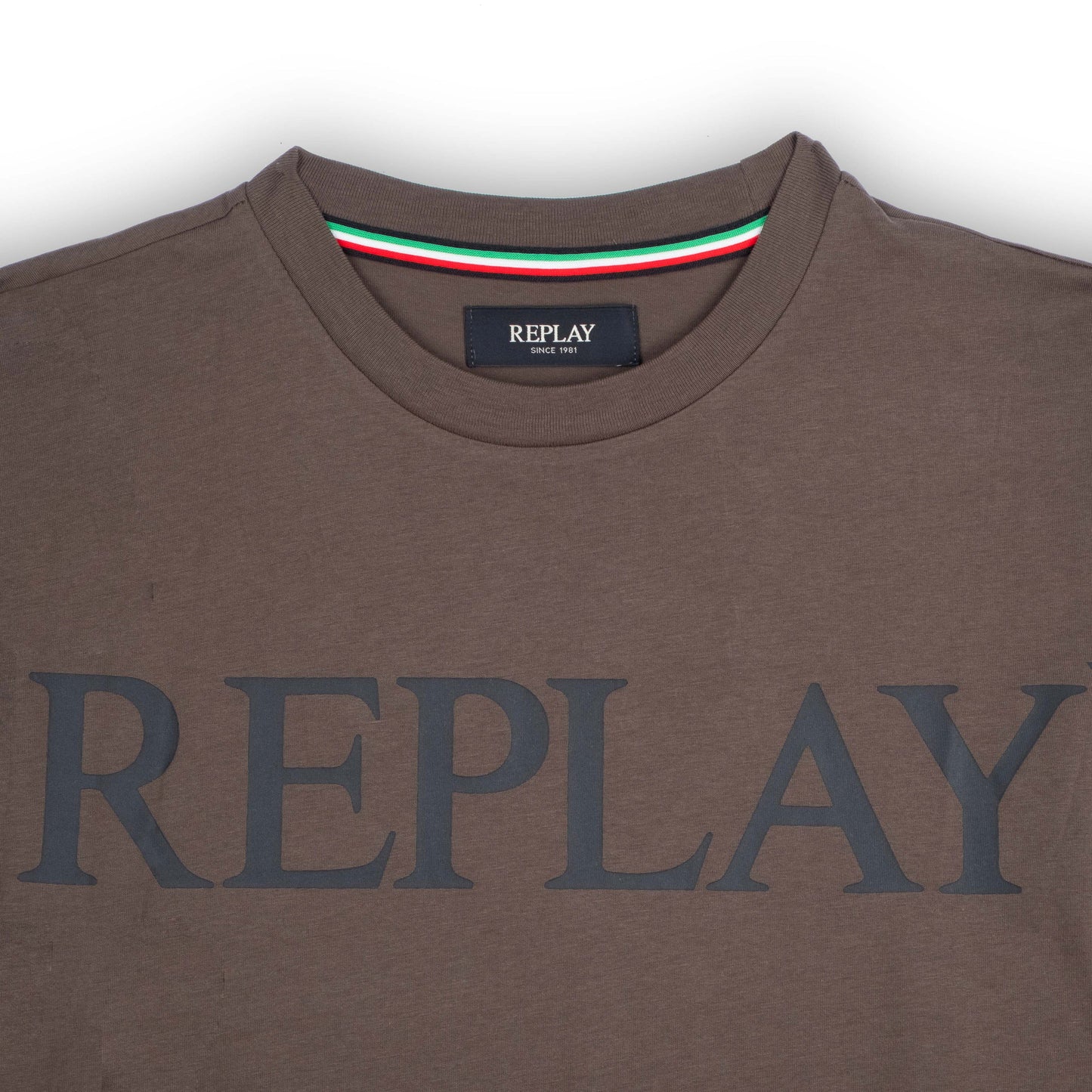 T-Shirt Homem Replay Castanha