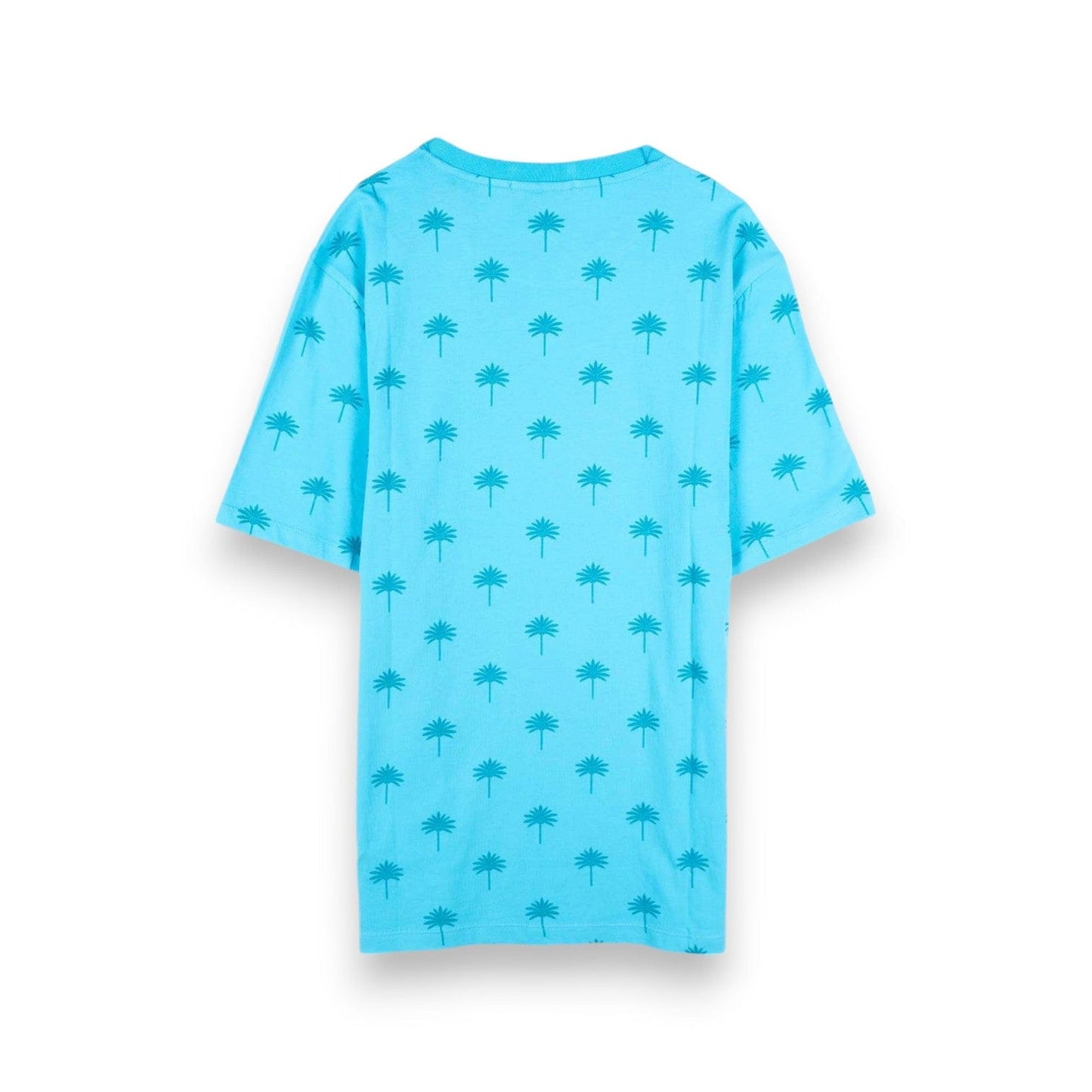 T-Shirt Homem Scotch & Soda