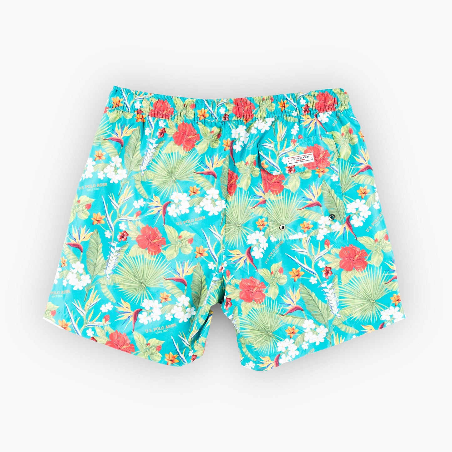 Calções Banho Homem Us Polo Verde multicolor